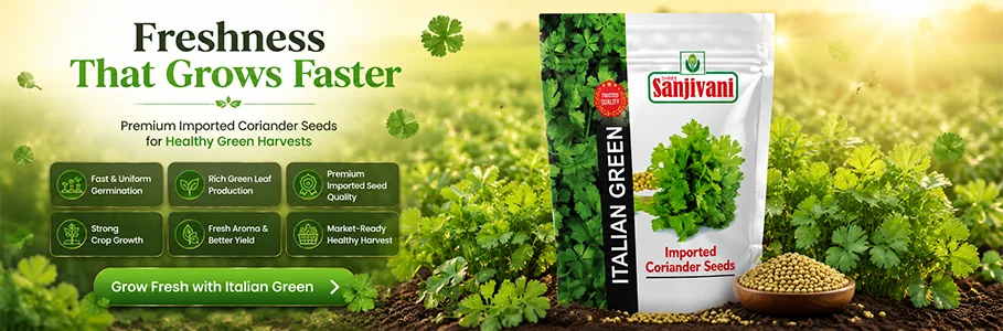 Hybrid vegetable and agricultural seeds by Sanjivani Seeds
