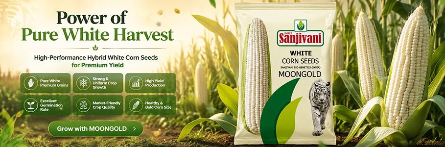 Quality field crop seeds for Indian farmers