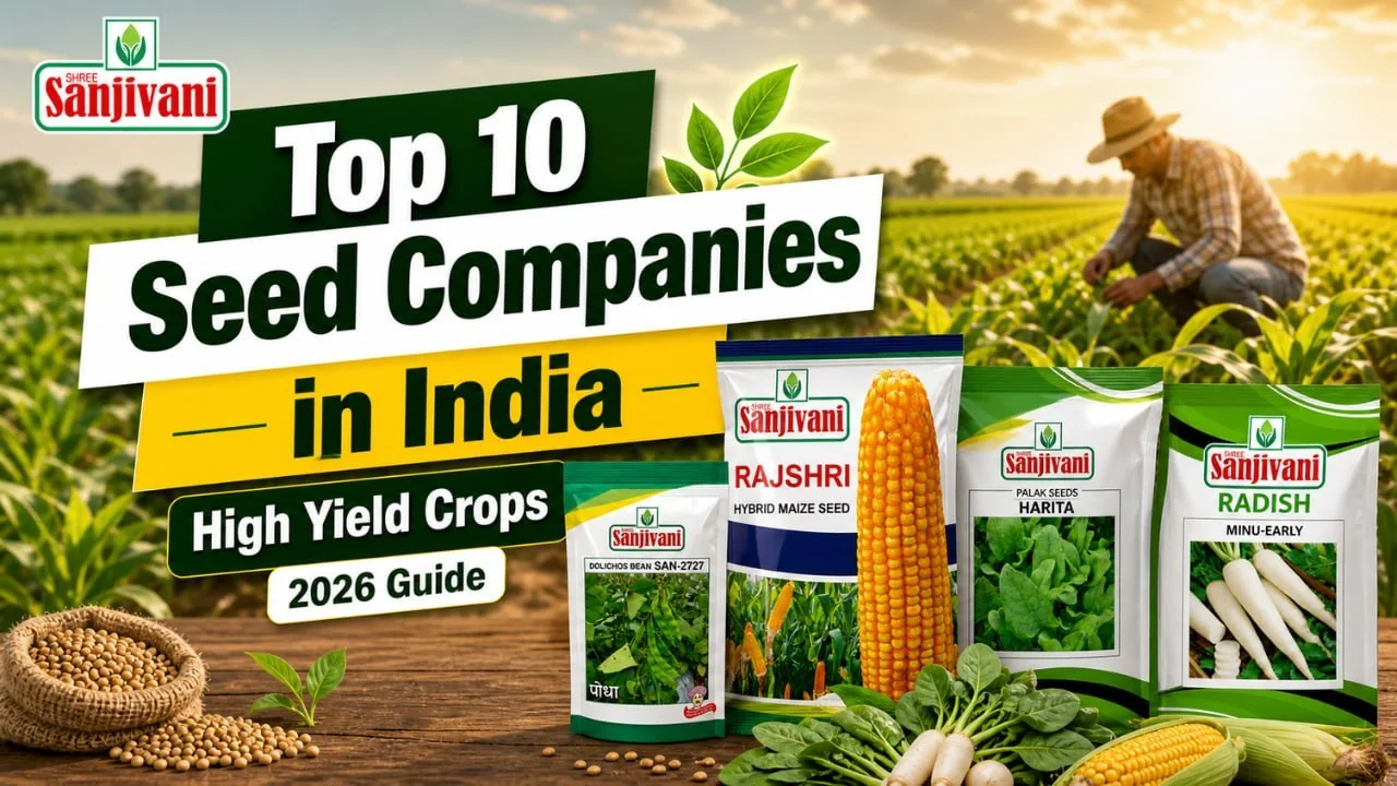 Top 10 Seed Companies in India 2026: Leading Seed Brands