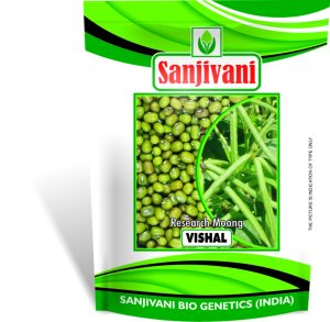 Sanjivani Vishal Moong