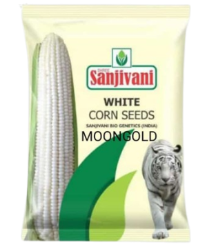 Sanjivani Moongold White Corn Seeds
