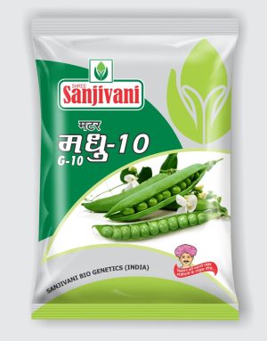 Sanjivani Madhu-10 Pea Seeds
