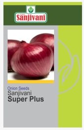 SANJIVANI SUPER PLUS Onion Seed