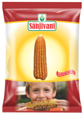 Sanjivani VISHWAS-72 Maize Seeds