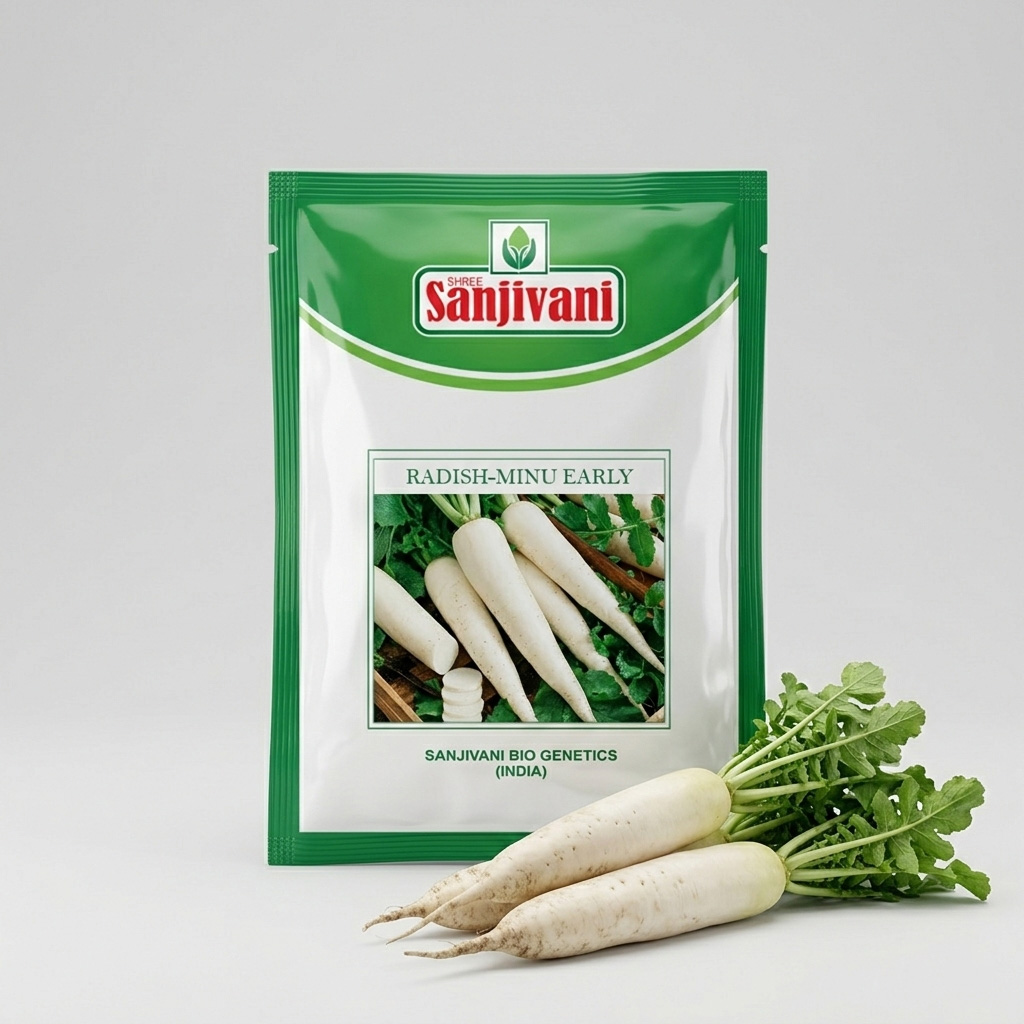 Radish Minu-Early (Muli) Seeds KGP
