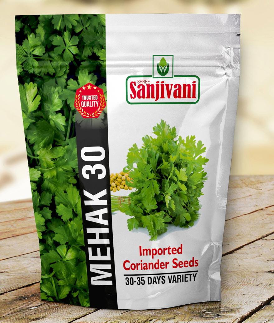 Mehak-30 Imported Coriander Seeds (Bold Seeds) |  1 KG Pack