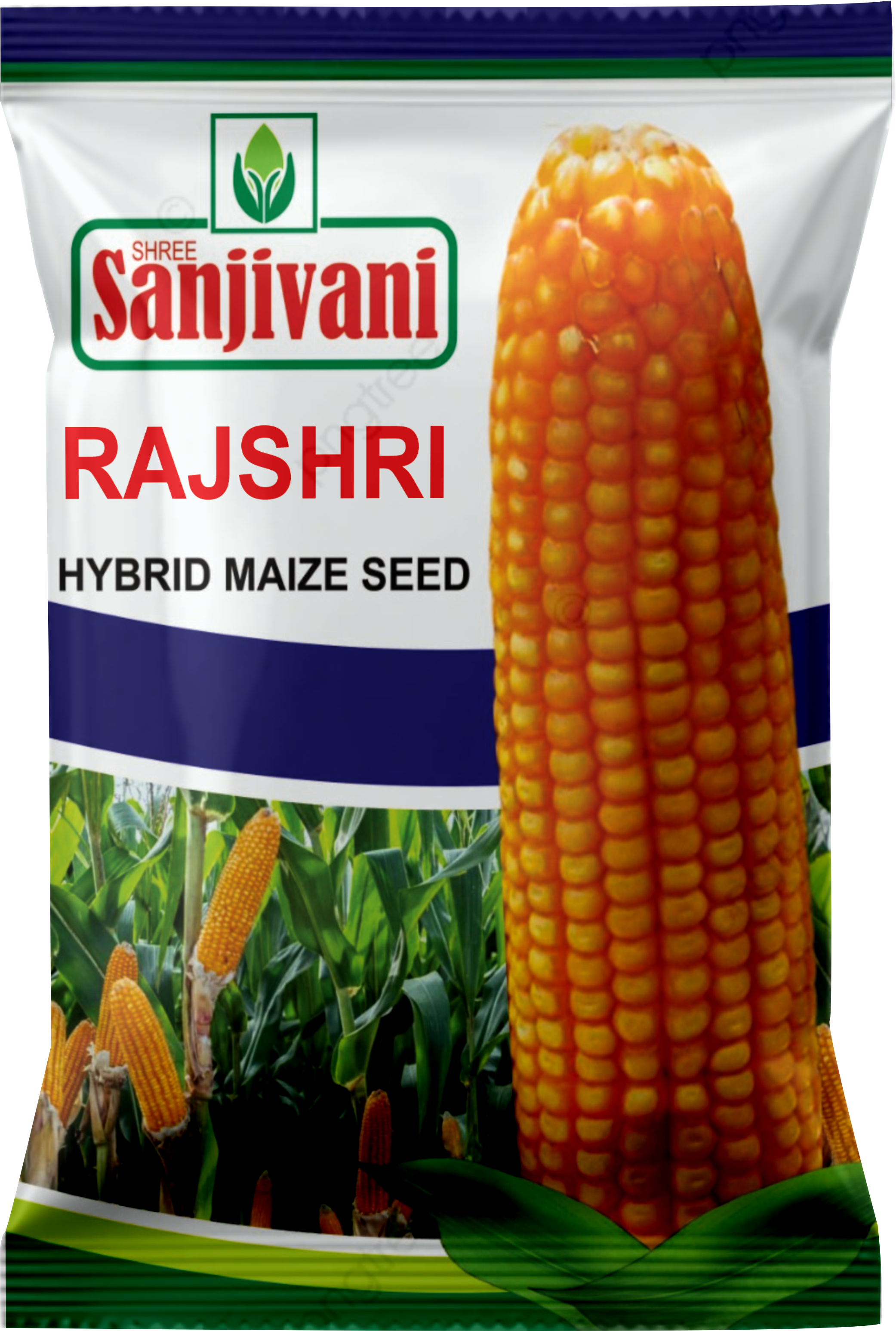 Hybrid Rajshri Maize Seeds | 4 Kg 