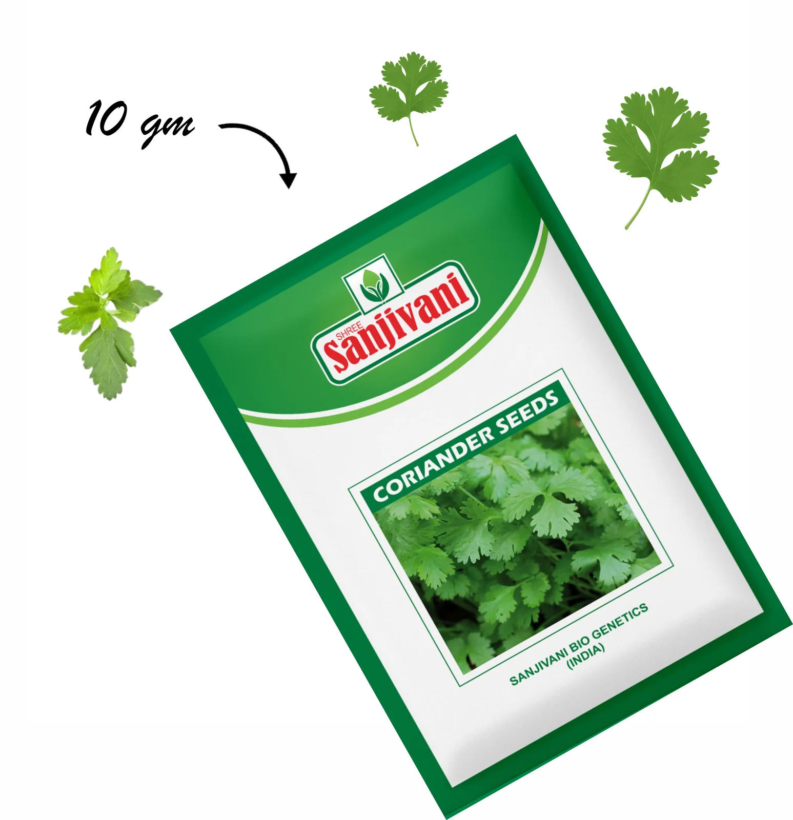 Coriander (Dhaniya) Kitchen Garden Seed Packet product view