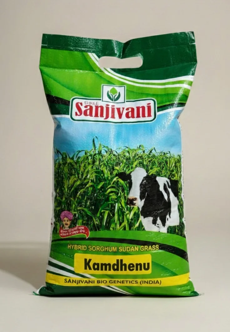 Kamdhenu Hybrid Sorghum Sudan Grass Seeds – 5kg Pack