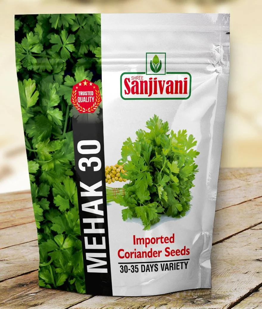 Mehak-30 Imported Coriander Seeds (Bold Seeds) | 1 KG Pack
