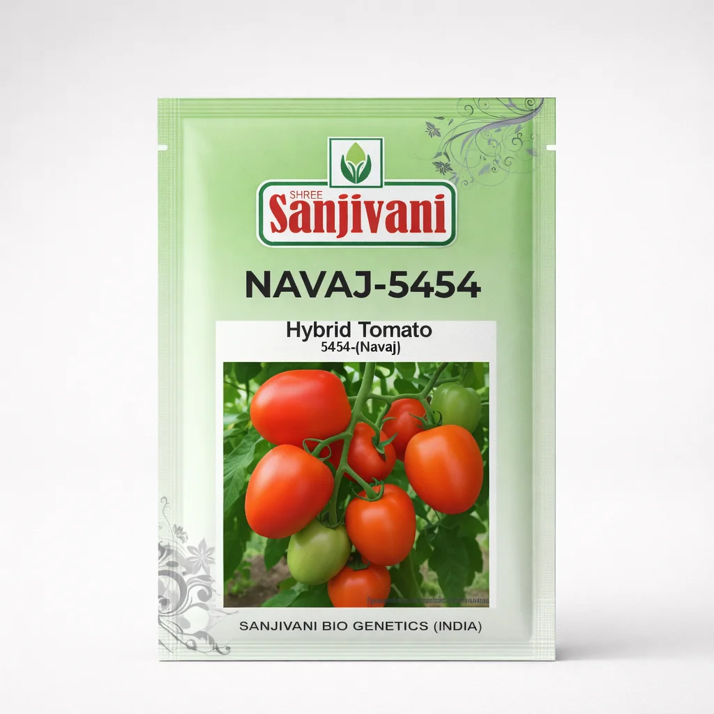 Navaj-5454 Hybrid Tomato Seeds (Long Round Type) | 5 gm