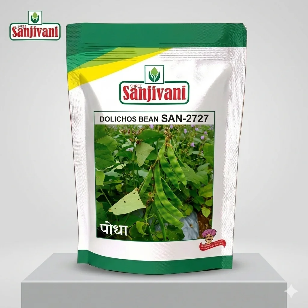 SAN-2727 Bush Type Dolichos Bean Seeds – 250gm Pack