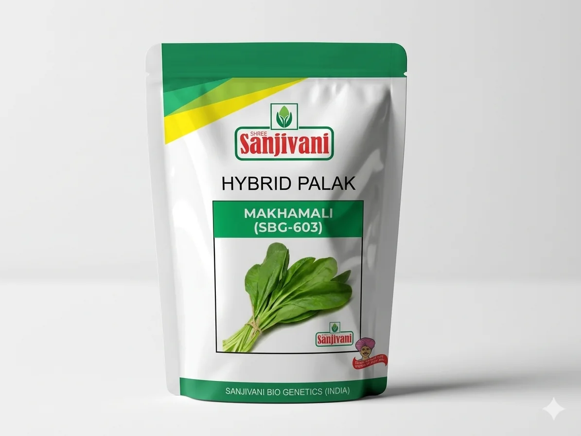 Makhamali SBG-603 Hybrid Palak Seeds – 250gm Pack