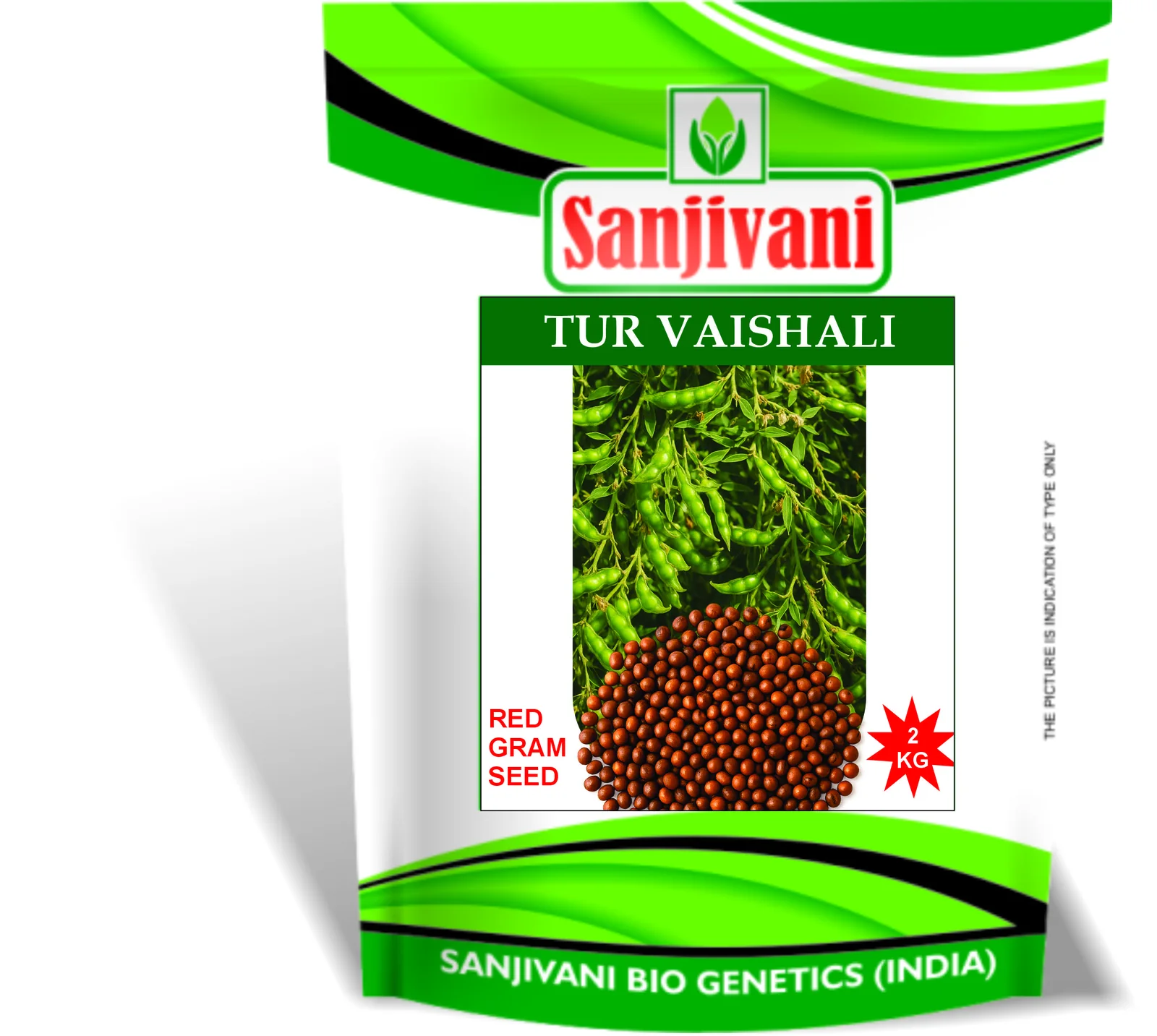 Sanjivani Madhuram (Sugar King) HY Sweet Corn