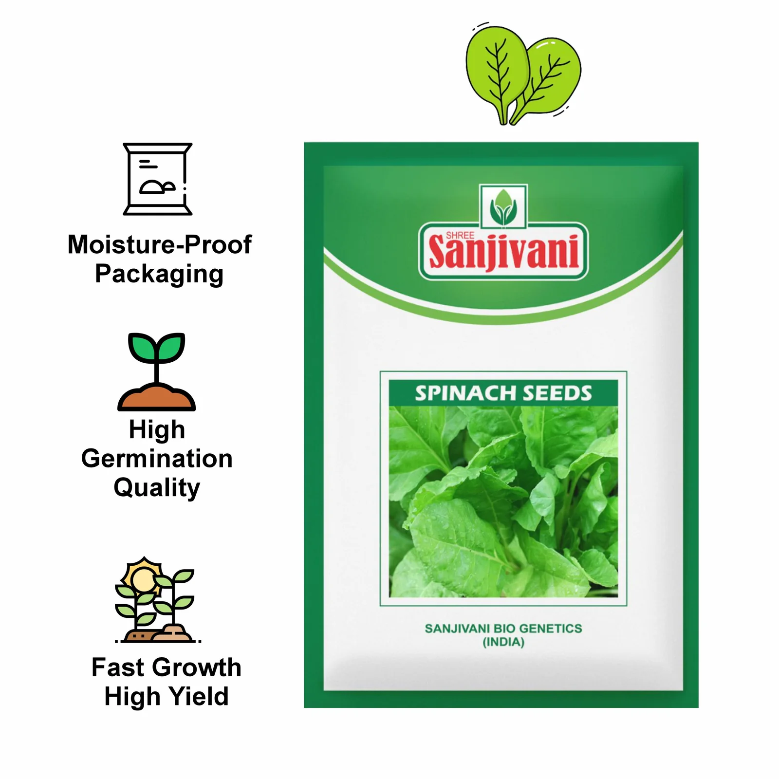 Spinach (Palak) Kitchen Garden Seed Packet product view
