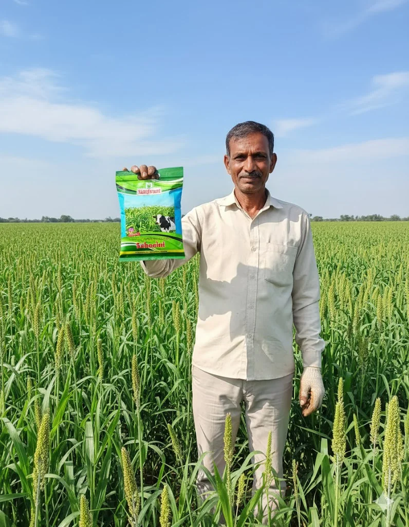 Suhasini Hybrid Sorghum Sudan Grass Seeds – 5kg Pack product view