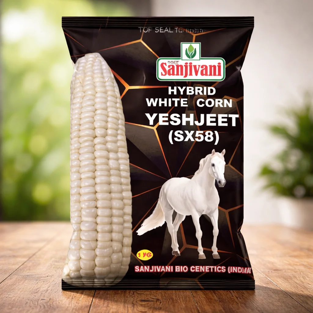 Yeshjeet SX58 Hybrid White Corn Seeds