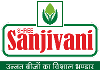 sanjivani 