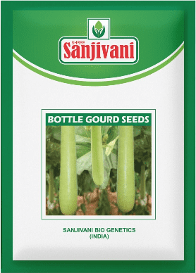 Top Best Seller Products6