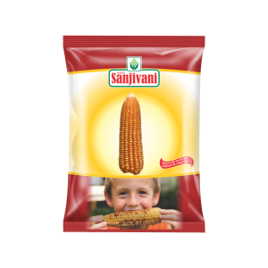 Sanjivani VISHWAS-72 Maize Seeds