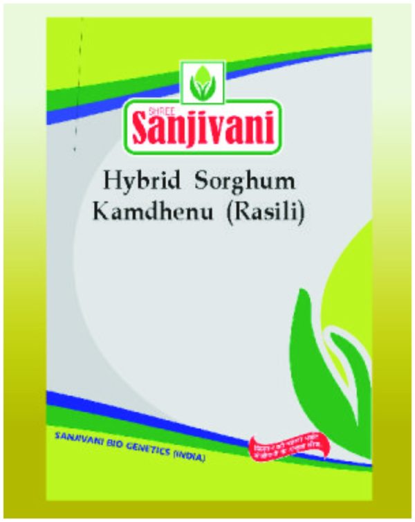Sanjivani Hybrid Sorghum – Kamdhenu (Rasili)