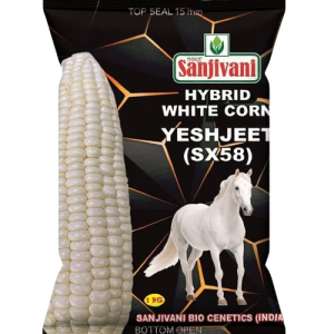 Sanjivani Yeshjeet (SX58) – Premium Hybrid White Corn Seeds