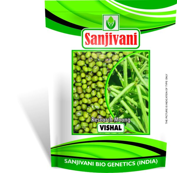 Vishal Moong – Research Variety (2 KG)