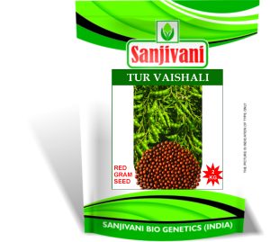 Sanjivani-Vaishali-tur-daal
