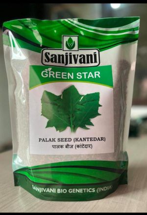 Green Star Kantedar Palak Spinach Seeds – prickly-leaf variety for farms