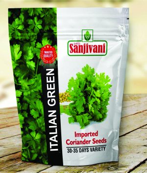 Italian Green Coriander Split Imported Seeds – premium quality for high-yield farm cultivation