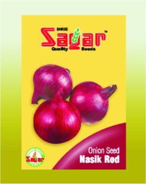Sagar Nasik Red Onion Seeds – premium red onion variety for farming