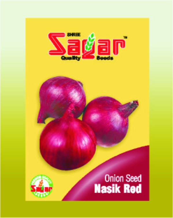 Sagar Nasik Red Onion Seeds – premium red onion variety for farming