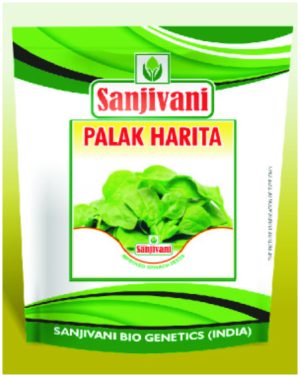 Sanjivani Palak Harita Spinach Seeds – improved variety for farms