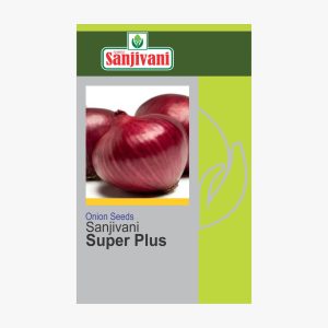 Sanjivani Super Plus Onion Seeds