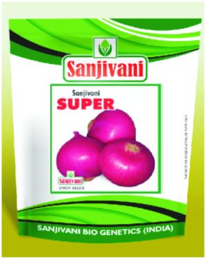 Sanjivani Super Plus Red Onion Seeds – High-yielding variety with bright red bulbs