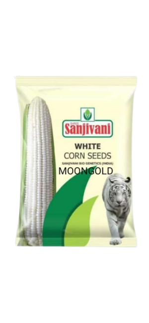 Sanjivani Moongold White Corn Seeds