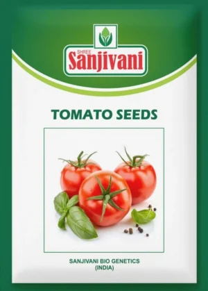 KGP Bhindi Seeds – 10g Kitchen Garden Packet for terrace and home gardening