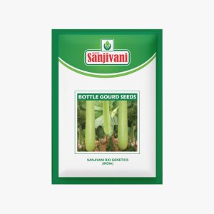 KGP Bottle Gourd Seeds – 10g packet for home gardening, terrace pots, and kitchen gardens