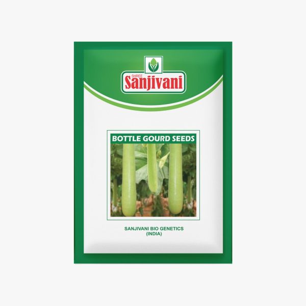 KGP Bottle Gourd Seeds – 10g packet for home gardening, terrace pots, and kitchen gardens