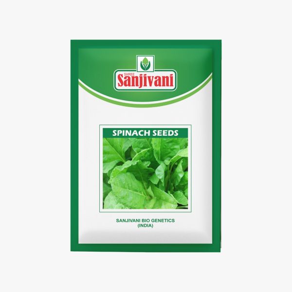 KGP Spinach Seeds – 10g kitchen garden pack for home and terrace gardening