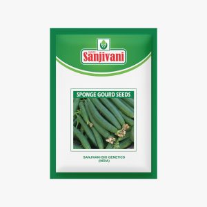 KGP Sponge Gourd Seeds – 10g packet for terrace gardening and home vegetable growing