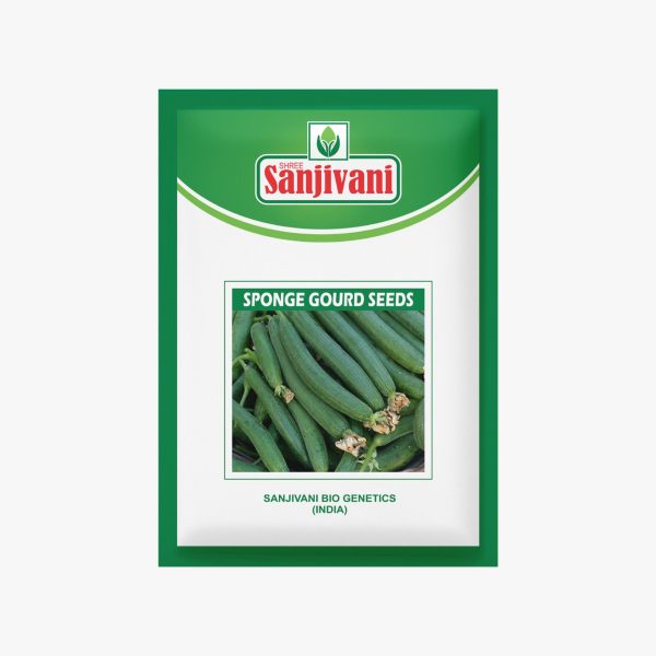 KGP Sponge Gourd Seeds – 10g packet for terrace gardening and home vegetable growing