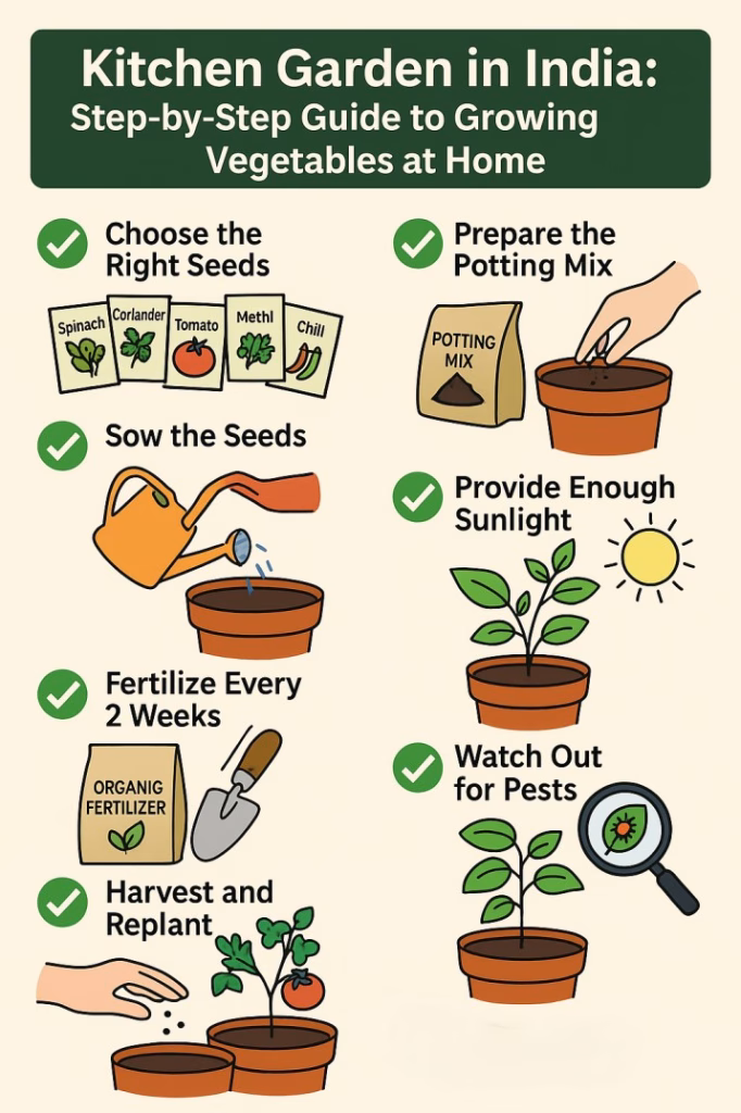 Illustrated step-by-step guide for starting a kitchen garden in India, showing key stages of growing vegetables at home including choosing seeds, preparing potting mix, watering, providing sunlight, and watching for pests. Features labeled graphics of spinach, coriander, tomato, methi, and chili seed packets with clay pots and gardening tools.