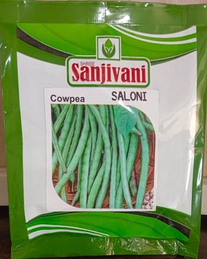 Premium Cowpea Seeds – 250g pack for home gardens, farms, and terrace farming