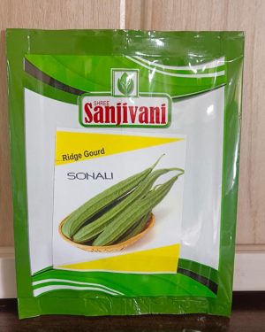 Ridge Gourd OP Sonali Seeds – 50g pack for home gardening and farm cultivation