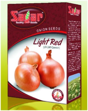 Sagar Light Red Onion Seeds