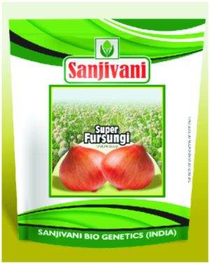 Sanjivani-Super-Fursungi-Onion-Seeds