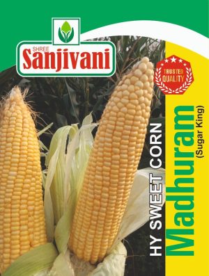 Sanjivani-sweet-corn-madhuram