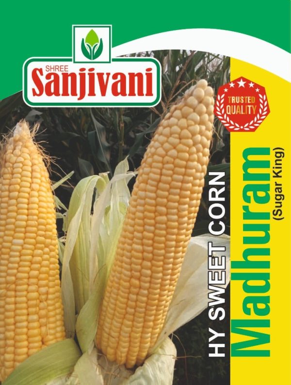 Sanjivani-sweet-corn-madhuram