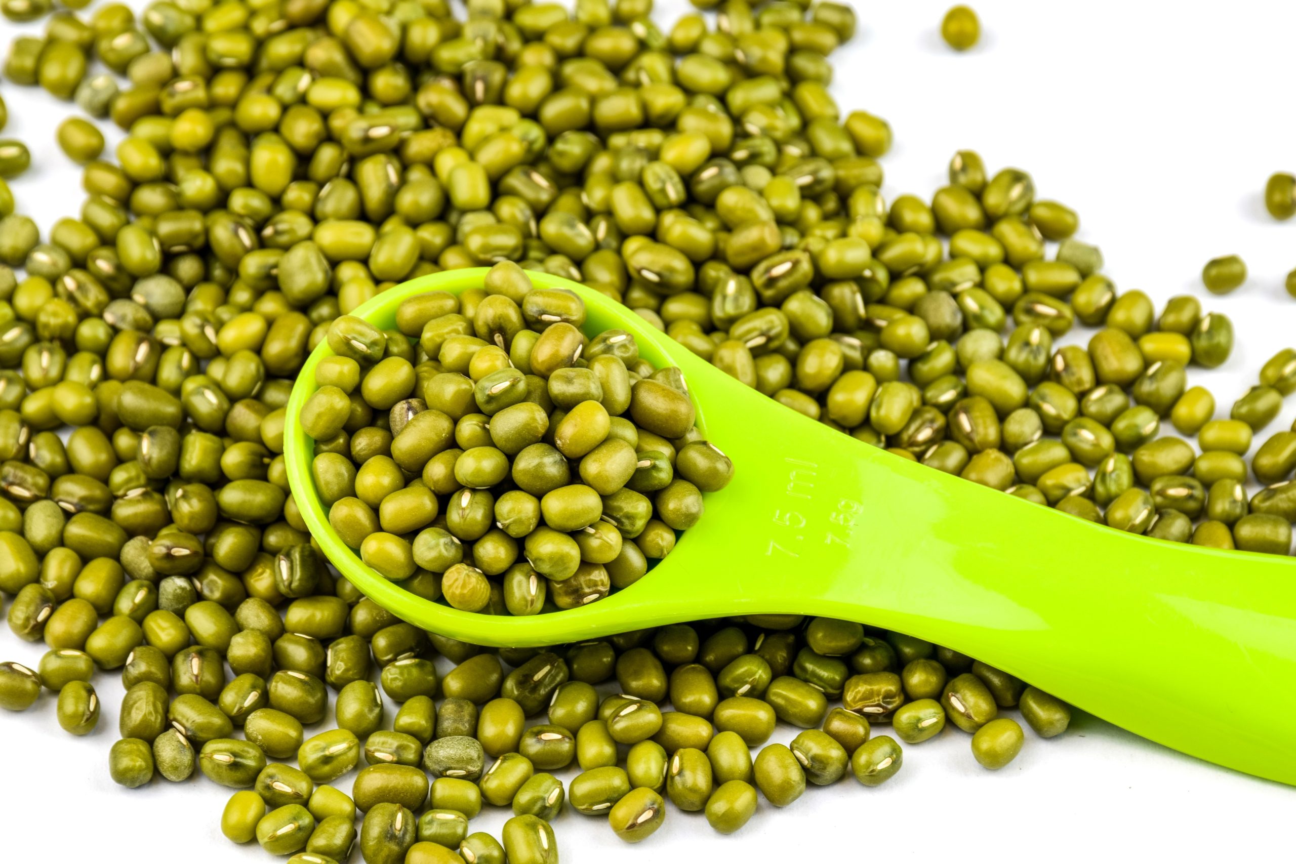 Moong Seed